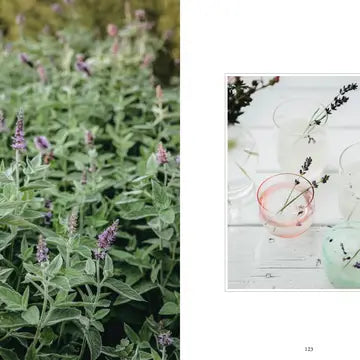 Book Living with Herbs